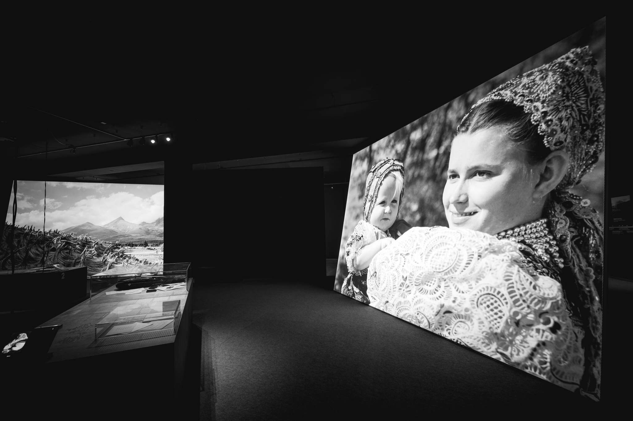 NZ6 2303 DxO DeepPRIME XD2s